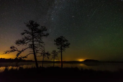 A Perseid over Luhasoo bog