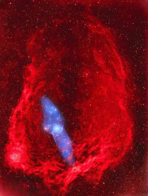 The Giant Squid Nebula