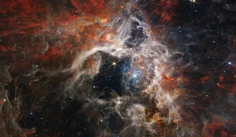 The Tarantula Nebula, JWST